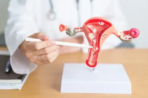 Difference Between Ovarian Cysts and Ovarian Cancer?